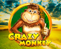 Crazy Monkey